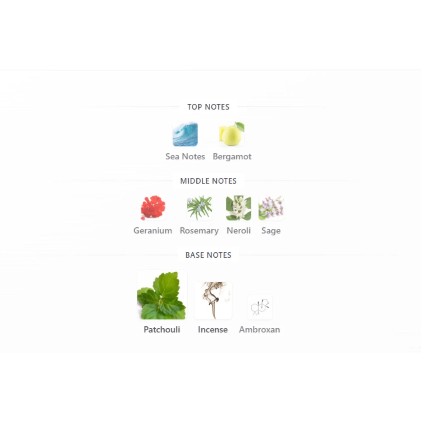MORI Extrait De Parfum