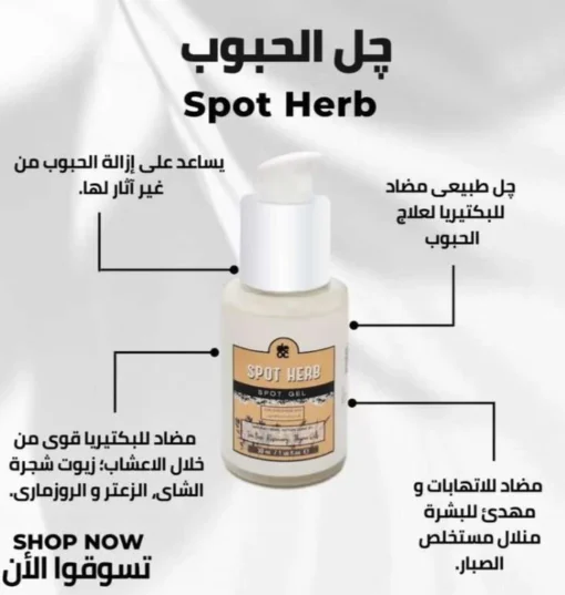 ⁦Spot herb⁩ - الصورة ⁦2⁩